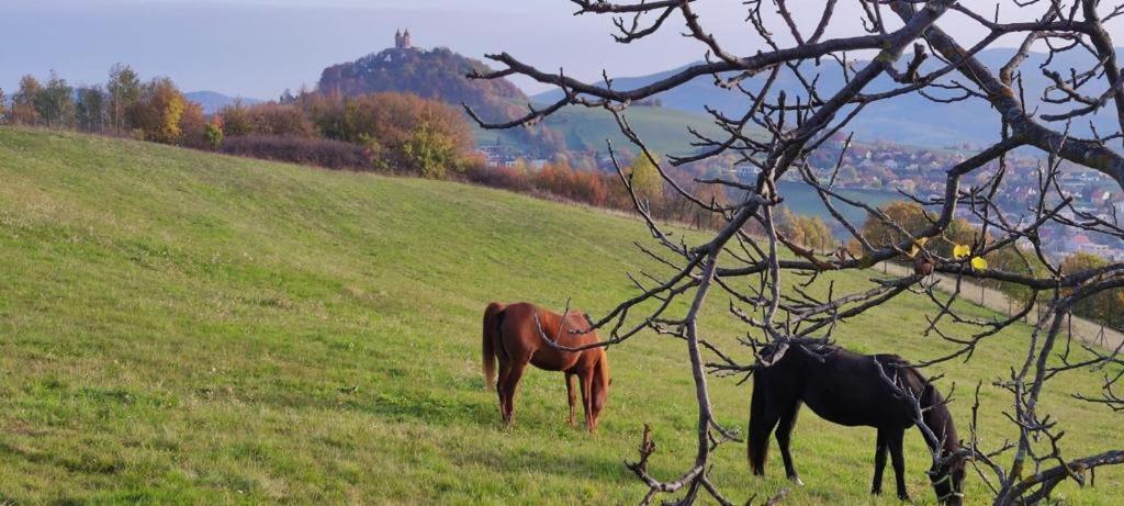 Hotel Barcadam Banská Štiavnica Zewnętrze zdjęcie